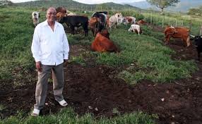 This is because jacob zuma has once again lifted his leg and pissed on our country's constitution, openly defying the orders of the constitutional court, and saying he will be arrested if need be. Justice Malala All Hail Jacob Zuma In The War On Corruption The Man From Nkandla Has Won