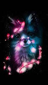 Pin By Valeria On ɽ Cute Galaxy Wallpaper Animal Wallpaper Cute Baby Animals