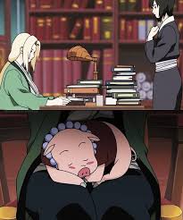 Naruto Daily on X: Naruto (100) - Tsunade, Shizune and Tonton.  t.coOESFBHTbtn  X