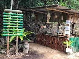 Tarian tersebut sempena majlis jasamu dikenang di hotel juta keningau pada 5 nov, 2019. 7 Perkara Tentang Keningau Negeri Sabah Mek Onie