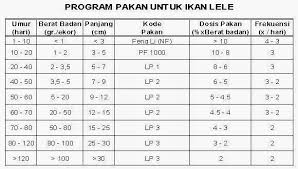 Maybe you would like to learn more about one of these? Ingin Membuat Pakan Lele Alternatif Ikuti Panduan Ini Pak Tani Digital