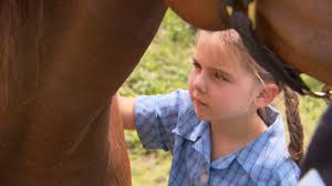 Stolen disabled foal found dead at Victorian racing stable