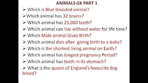 Testing one's learning has always been intriguing and fun for kids. 30 Animals Gk General Knowledge Question Answers With Pictures Animals Quiz Part 1 Youtube