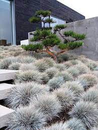 Grounded Modern Landscape Architecture Modern Landscaping Japanese Garden Landscape Modern Landscape Design