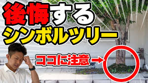 注文住宅】シンボルツリーで後悔したポイント！オリーブ、シマトネリコ、人気の樹種7本を徹底解説！！ | 豊橋市の工務店ならハピナイス