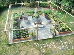 Vegetable Garden Layout Ideas Stock Tank Garden Vegetable Garden Layout Ideas Beginners New Best Stock Tank Vegetable Garden Design Garden Design Garden Layout