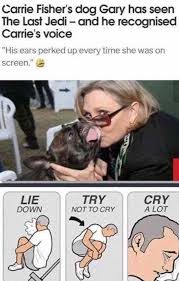 50 Funny Memes And Posts For The Animal Lovers Star Wars Humor Star Wars Memes Star Wars Fandom