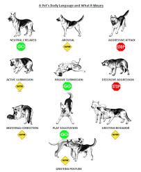 Dog Body Language Png 548 669 Dog Body Language Dogs Animal Behavior