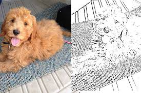 Then we turn it into a wall painting. Here S How To Make Custom Coloring Pages From Your Own Photos Simplemost