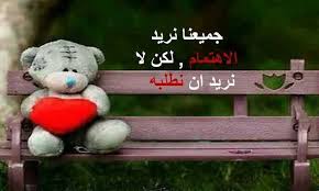 الاهتمام كل ما اريده منك م true words arabic quotes teddy bear