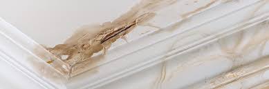 The cost of having an exhaust leak repaired will vary depending on the type of car you drive. How To Fix A Pinhole Leak In Copper Pipe Leaky Pipe Pinhole Repair Curaflo