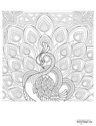 Peacock coloring page for adults 3 31 peacock coloring pages. Peacock Coloring Pages