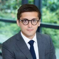 Nomination LFPI : Directeur du développement Formations & conseils en  communication digitale, généalogie