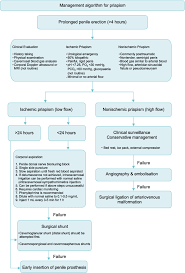 Let's talk about the amazing perks of gray blending. Management Algorithm For Priapism Download Scientific Diagram