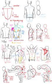 The human back, also called the dorsum, is the large posterior area of the human body, rising from the top of the buttocks to the back of the neck. Male Back Drawing Reference Novocom Top