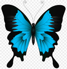 Free Free 63 Blue Butterfly Svg Free SVG PNG EPS DXF File