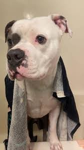 Danna Gardner's Instagram, Twitter & Facebook