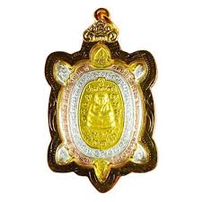 Image result for Triumfetta amuletum