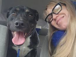 Foster home needed for shy American Bulldog mix