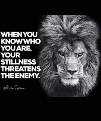 Pin By Melissa Peterson On Leo Pix Churchill Quotes Lion Quotes Warrior Quotes