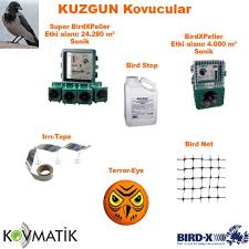 Kuzgun Kovucu Urunler Kus Fareler