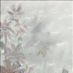 Silver Mist Flowers