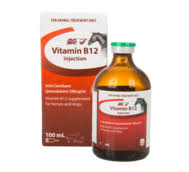 We did not find results for: Vitamin B Complex Injection Products List Products Ceva Australia