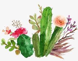 Cactus Flowers Watercolor Watercolor Watercolor Cactus Pink Flowers Png Transparent Clipart Image And Psd File For Free Download Watercolor Cactus Watercolor Flowers Cactus Clipart