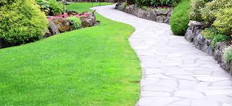 Find plastic lawn edging that's lawnmower proof and log lawn edge that looks aesthetically pleasing around paths, lawns and borders. Wilkinson Sword Gardening Tools Lawn Care Tips