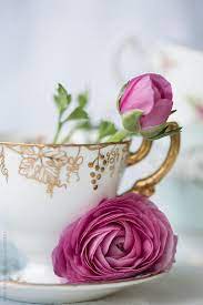 Ranunculus Flowers In A Vintage Teacup By Ruth Black Tea Cups Vintage Teacup Flowers Tea Cups