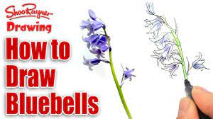 Plant bluebell bulbs after the heat of summer has passed or in early fall. How To Draw And Paint Bluebells Youtube
