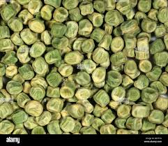 Image result for Pisum sativum
