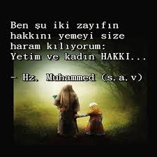 Instagram Fotografi Islam Guzel Ahlaktir 15 Haziran 2015 07 42 Cat Quotes Funny Cat Quotes Funny Cats