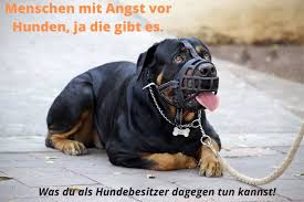 Teil i der entstehungsgeschichte des hundetrainings beginnt bereits in der steinzeit! Menschen Mit Angst Vor Hunden 6 Geniale Tipps Furs Herrchen