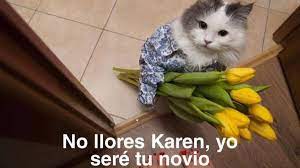 Www.elviejonagrio.com el viejon agrio es una celebridad. Feliz Dia Del Gato Los Memes De Karen Y Las Anvorguesas Lo Saben