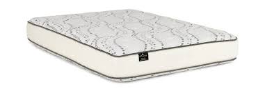 Victoria Plush Mattress By Sherwood Hom Furniture Plush Mattress Shop Area Rugs Hom Furniture