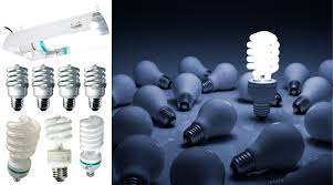 The Best Cfl Grow Light 2020 Reviews