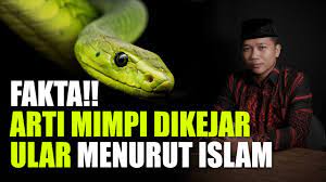 Check spelling or type a new query. Arti Mimpi Dikejar Ular Menurut Islam Youtube