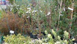 Add a fertiliser like tui nova tec fertiliser at planting time. Fruit Trees Farrell S Nurseries The Climate Changers