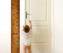 Wall Growth Chart Ruler