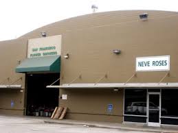 Rent classic san francisco apartments in style at the corner of hyde and chestnut. San Francisco Flowers And Florist Reviews