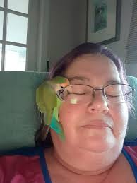 Is anyone missing a bird? He looks lost. Not sure what kind of bird he is