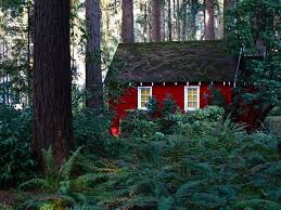 This Is How I Imagined The House In Breaking Dawn Can T Wait To See The Second Half Of The Movie Red Cottage Forest Cottage Cabins In The Woods