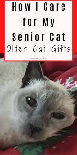 16 Gifts For Older Cats That Make Them Feel Young Again Caticles Older Cats Senior Cat Care Senior Cat