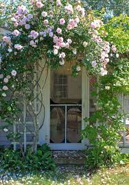 Climbing plants front of house. 9 Ways To Create Curb Appeal With Flowering Vines And Climbers Gardenista