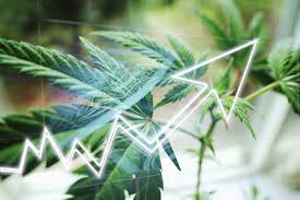 .exchange rates, government bond yields, stock indexes and commodity prices. Sundial Growers Inc Sndl Stock Price News The Motley Fool