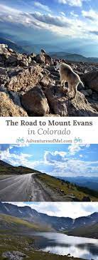 Lauren Yates Uga19792001 - Profile Pinterest