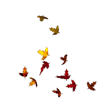 The best gifs for falling leaves. The Witches Closet Pumpkin Yummy Witches Time Of Harvest Falling Gif Beautiful Gif Autumn Leaves