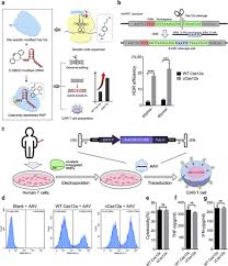 Image result for Modified Apt Test