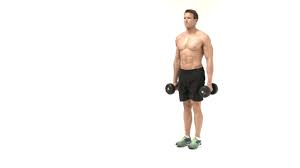 Since i'm not content to sit still, i continue to implement this lift in its purest form and with at least mcallister had people lifting double their body weight. Leg Exercises You Should Be Doing With Gifs Album On Imgur